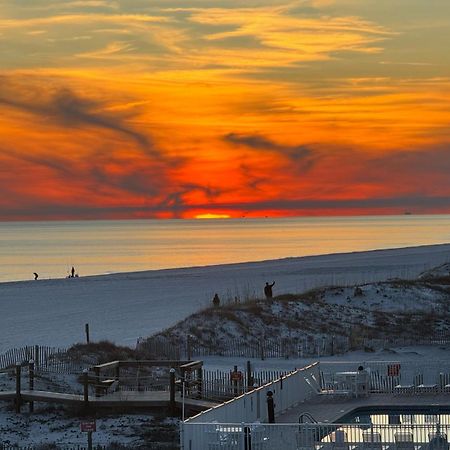 Sunchase #203 Leilighet Gulf Shores Eksteriør bilde